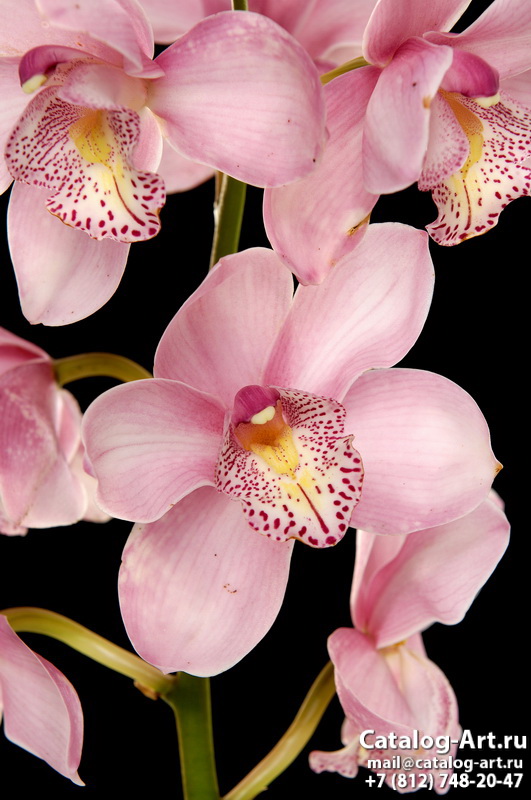 Натяжные потолки с фотопечатью - Розовые орхидеи 57